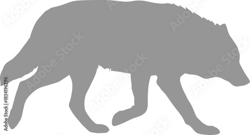 Wolf Silhouette – Isolated on Transparent Background Hunting Predator Stalking Wild Animal Vector