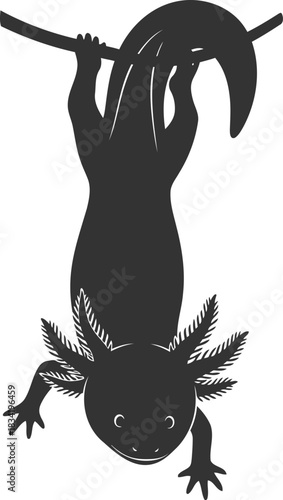 Stylized axolotl hanging from a branch silhouette design
