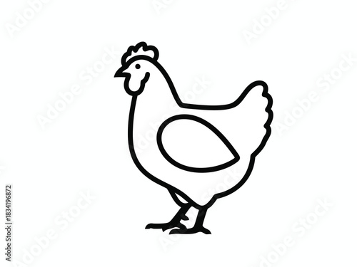 Simple Line Art Chicken Illustration