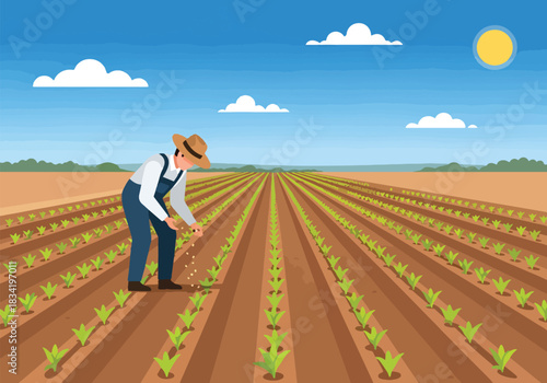 Farmer sowing seeds by hand in a wide field with rows of small green plants
