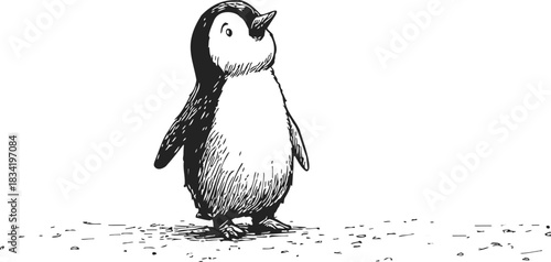 Penguin chick sketch hand drawn standing on ground, black and white. Vector illustration