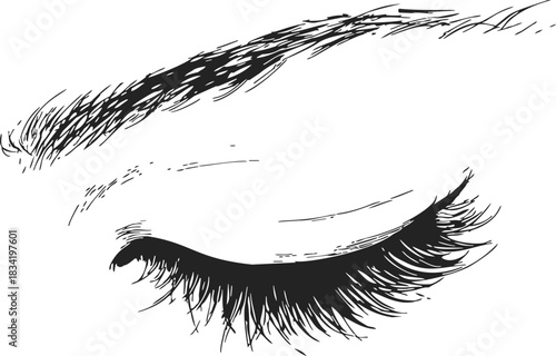 Closed eye sketch hand drawn with long eyelashes and eyebrow. Vector illustration