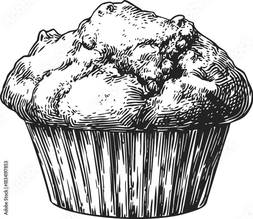 Muffin sketch hand drawn style detailed bakery dessert illustration. Vector illustration