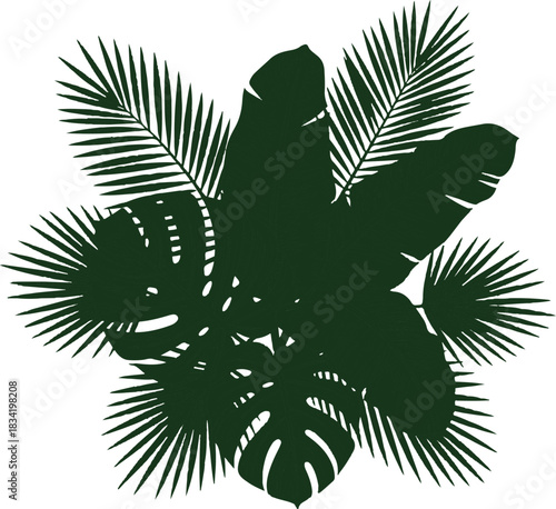 Dark green tropical leaves arranged in a circular pattern vector