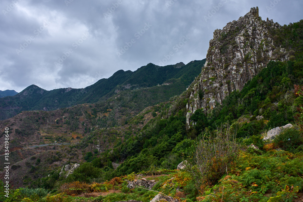 Naklejka premium Volcanic peak with lush forest Anaga Mountains