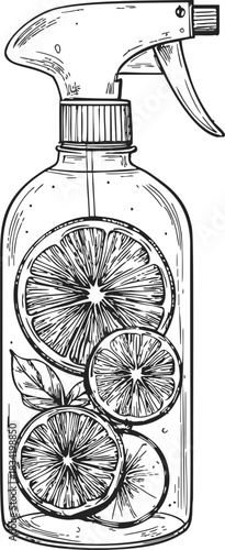 Spray bottle sketch with citrus fruit slices and leaves inside. Vector illustration