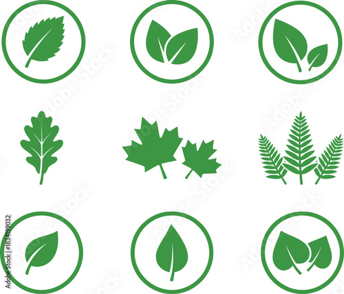 Collection of green leaf icons representing nature sustainability and environmentally friendly practices in a minimalist style for graphic design