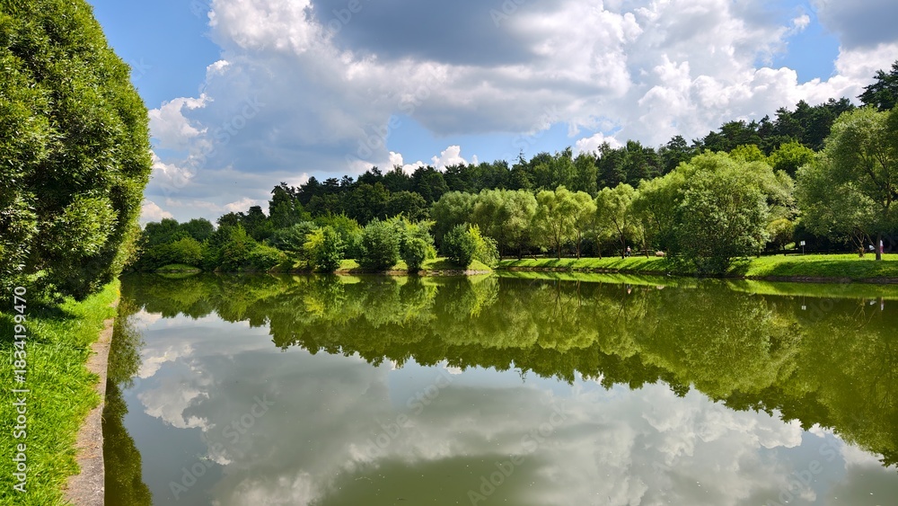 Fototapeta premium Willows grow on the grassy banks of the river, which are reflected in the water. There are walking paths nearby. There is a mixed forest on the far shore. Sunny summer weather and blue sky with clouds