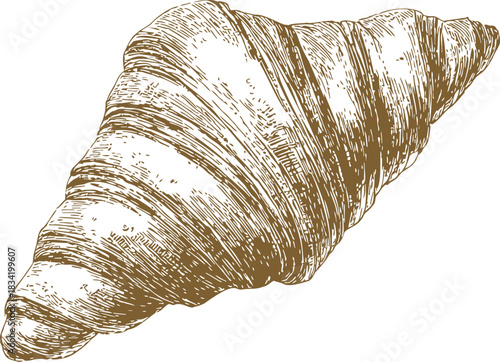 Croissant sketch hand drawn detailed bakery pastry with textured lines. Vector illustration