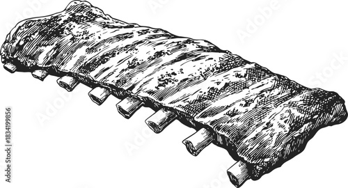 Pork ribs sketch, hand drawn style, whole rack isolated on white background. Vector illustration