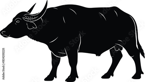 Water Buffalo Silhouette – Isolated on Transparent Background Standing Buffalo Vector Illustration