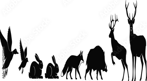 Set of Wild Forest and Woodland Animal Silhouettes: Flying Birds, Rabbits, Fox, Wild Boar, and Male Deers for Hunting, Wildlife, and Nature Graphics.