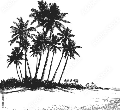 Palm trees sketch hand drawn on tropical beach island coastline. Vector illustration