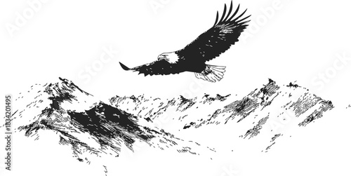 Bald eagle flying over mountain range, sketch hand drawn style. Vector illustration
