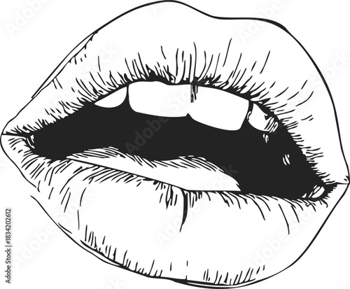 Lips sketch hand drawn style with open mouth biting teeth. Vector illustration