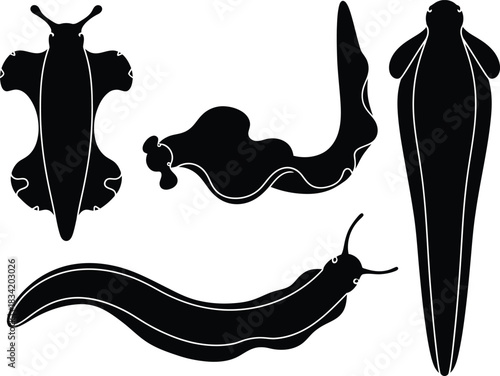 marine life worms and leeches set in black and white silhouette design.