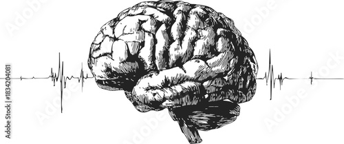Human brain sketch with heartbeat line, hand drawn medical illustration. Vector illustration