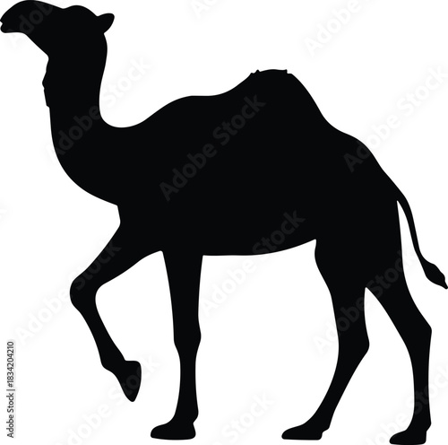 Walking Camel Silhouette – Dromedary Desert Animal Vector Illustration in Solid Black Outline Isolated on Transparent Background