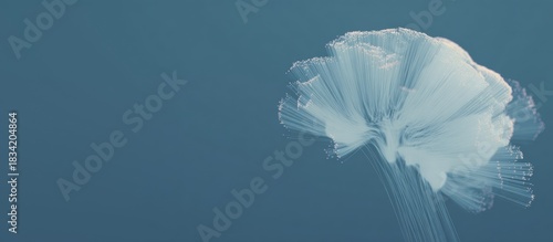 Ethereal jellyfish floating in serene ocean waters