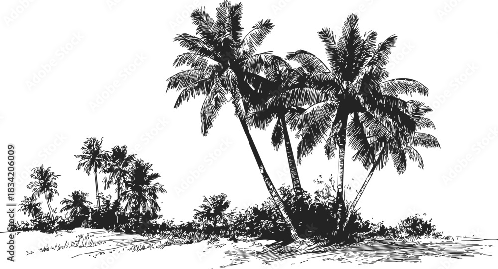 Naklejka premium Palm trees sketch, hand drawn tropical landscape with clustered palms and foliage. Vector illustration