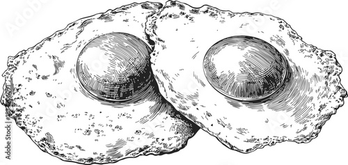 Fried eggs sketch hand drawn style with two eggs and textured yolks. Vector illustration