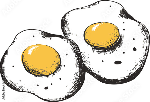 Fried eggs sketch hand drawn style two eggs with yolks. Vector illustration