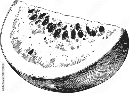 Watermelon slice sketch, hand drawn style with seeds and textured rind. Vector illustration