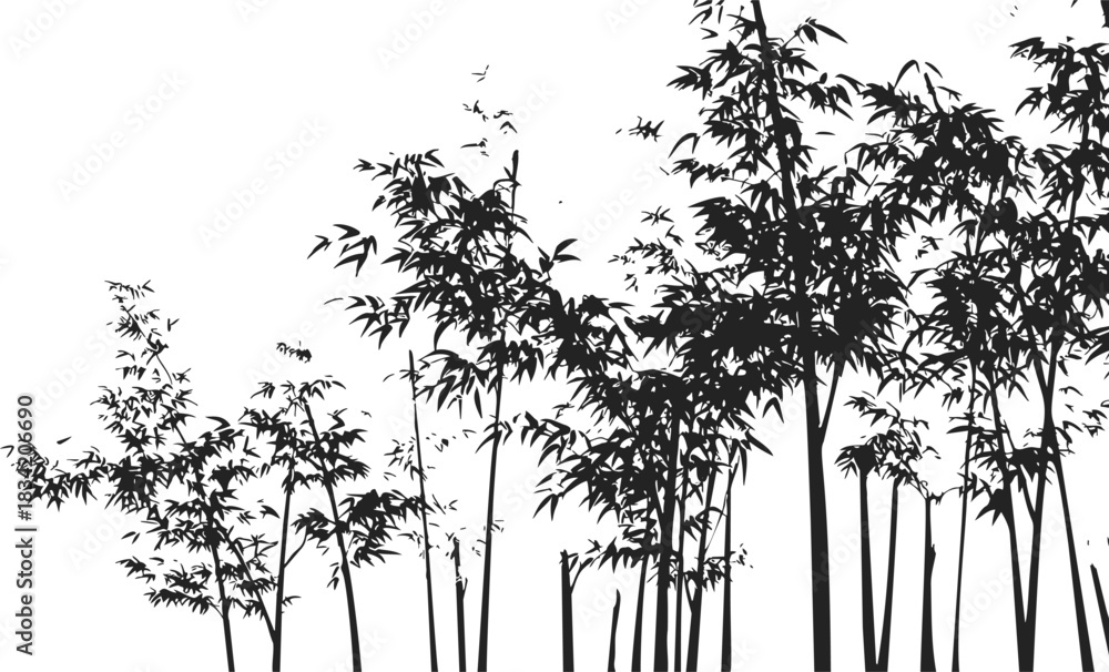 Fototapeta premium Bamboo silhouette sketch, hand drawn style, dense bamboo grove with leafy branches. Vector illustration