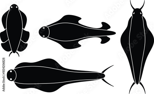 aquatic insect larva and sea creature views set in black and white silhouette.