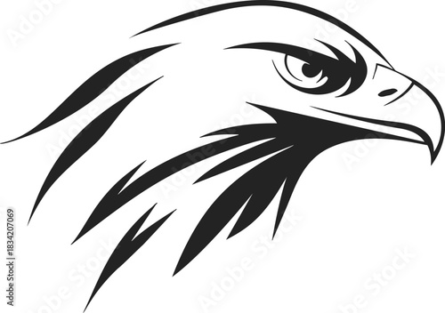 Eagle head sketch hand drawn side profile with sharp beak and intense eye. Vector illustration