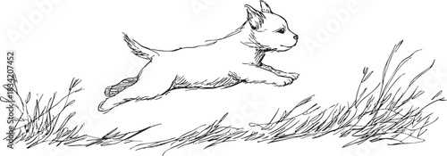 Dog jumping over grass sketch, hand drawn energetic puppy in motion. Vector illustration