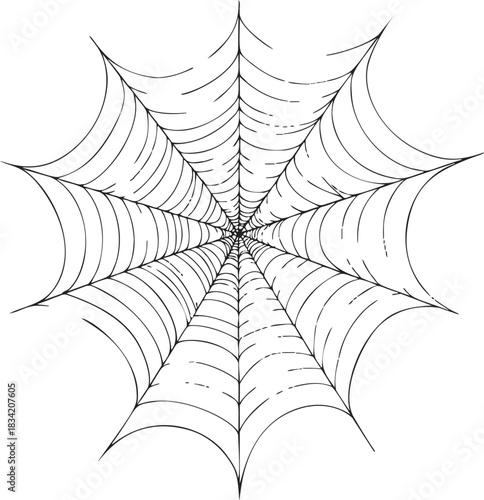 Spider web sketch, hand drawn vector, symmetrical radial lines and curved threads. Vector illustration