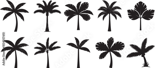 Tropical Palm Tree Silhouette Vector Set: Various Exotic Island and Beach Black Icons and Graphics Collection