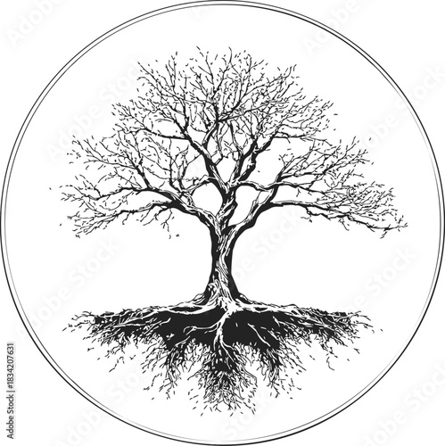 Tree with bare branches and visible roots, sketch hand drawn style in circle. Vector illustration