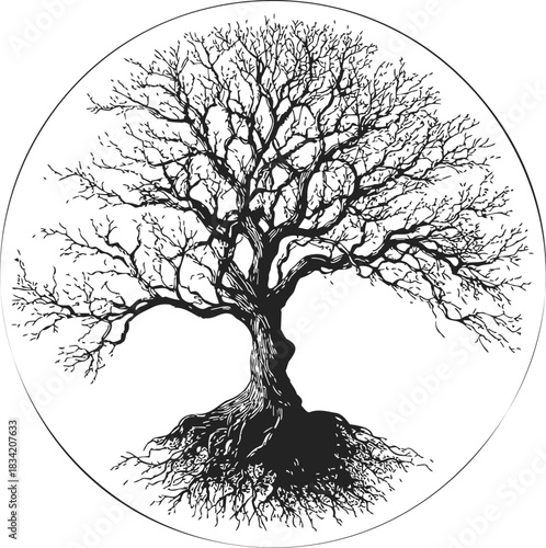 Tree with bare branches and visible roots, hand drawn sketch style. Vector illustration