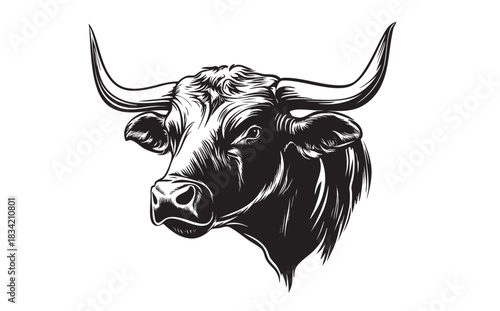 A head of a bull illustration