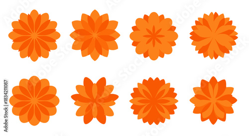 A vibrant collection of eight stylized orange flowers with layered petals, showcasing various abstract designs and transparency on a white background.