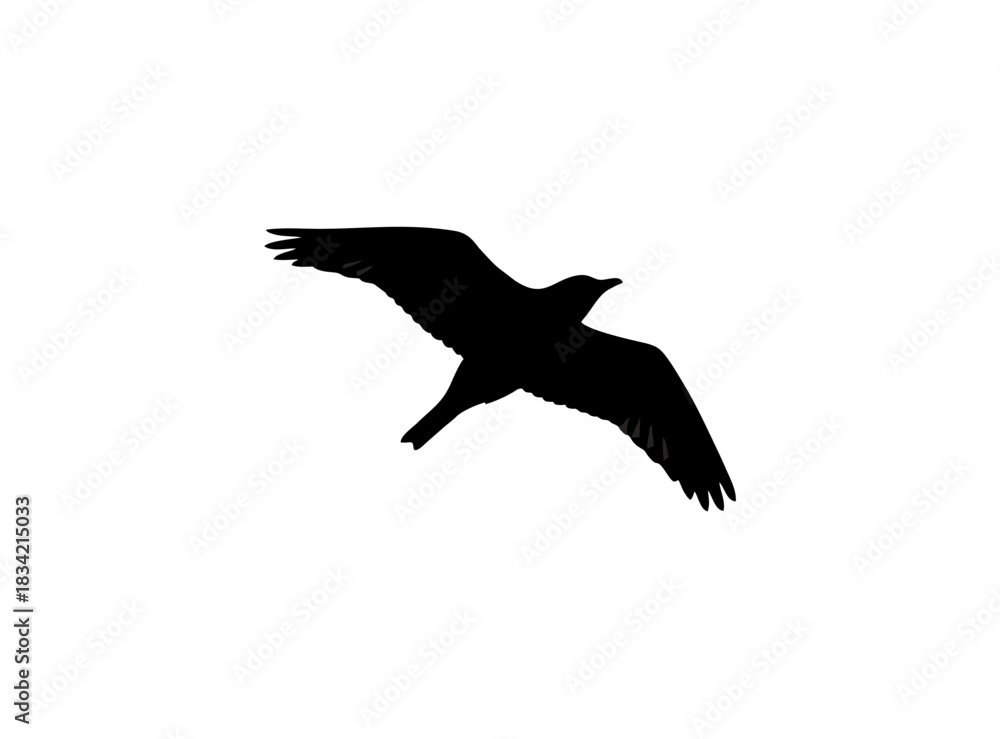 Fototapeta premium flying eagle silhouette