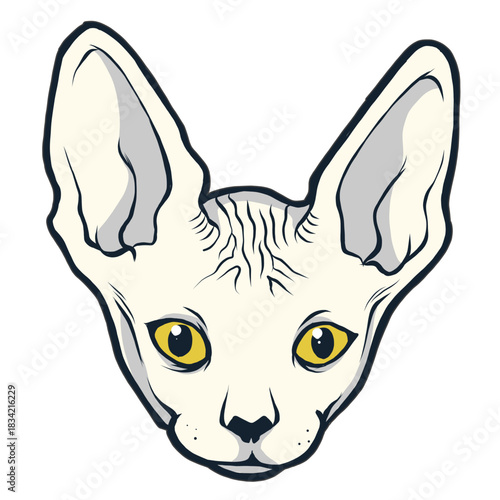Sphynx cat head hand drawn