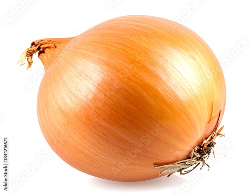 Wallpaper Mural Close-up of a perfectly formed, golden-skinned bulb. It sits on a white backdrop, demonstrating its smooth, layered surface and root end detail Torontodigital.ca