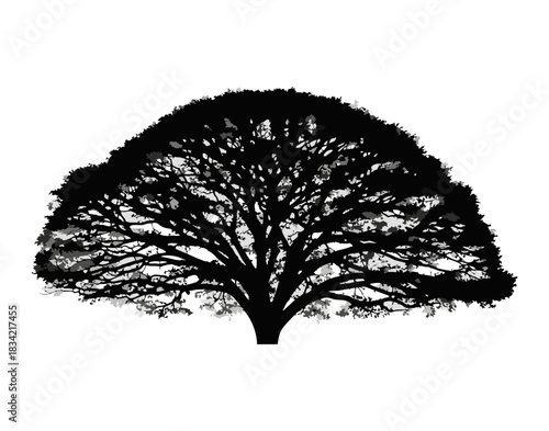 tree silhouette vector