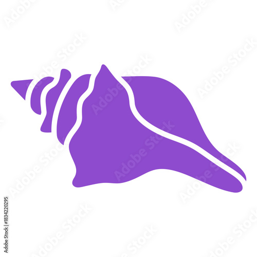Knobbed whelk seashell purple