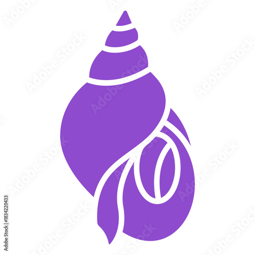 Whelk seashell purple