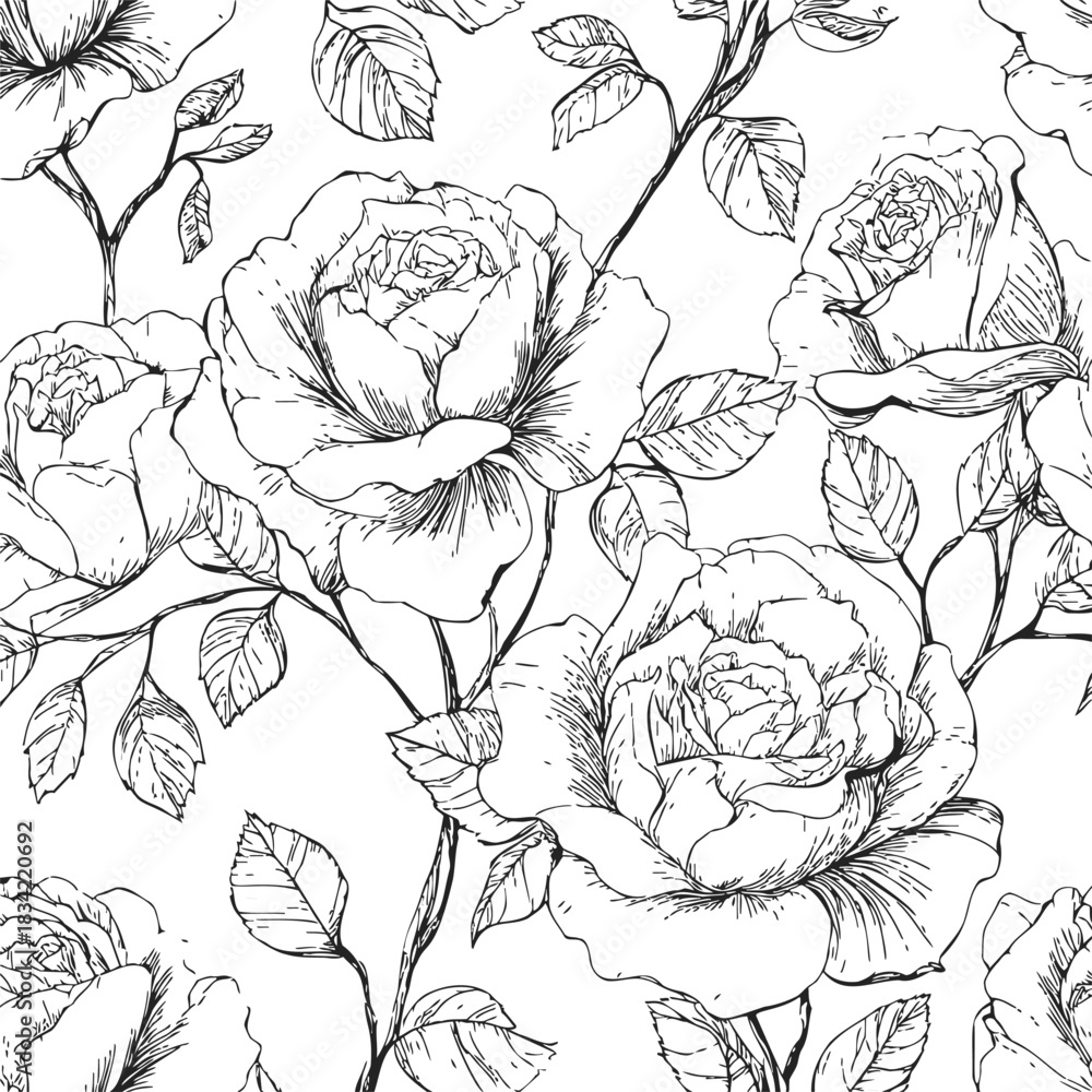 Fototapeta premium Rose flowers seamless pattern, sketch hand drawn botanical style, blooming roses and leaves. Vector illustration