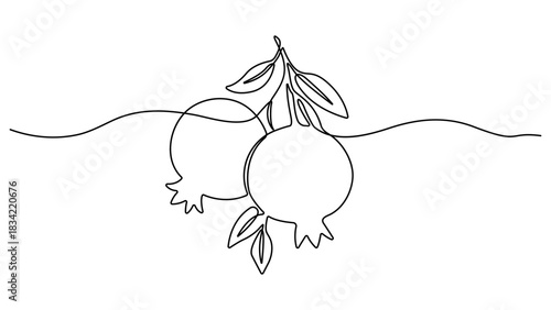 Continuous linear drawing of pomegranate, One line drawing garnet, Happy Shana Tova Fruit contour, Pomegranate in one line style, Abstract minimalistic style, Vector illustration