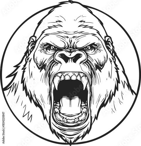 Angry gorilla head sketch, hand drawn style, roaring face in circle. Vector illustration