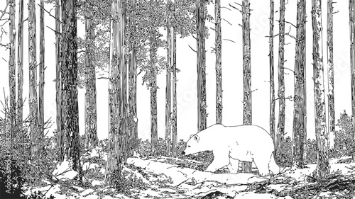 Bear walking in dense forest, sketch hand drawn style, detailed woodland scene. Vector illustration
