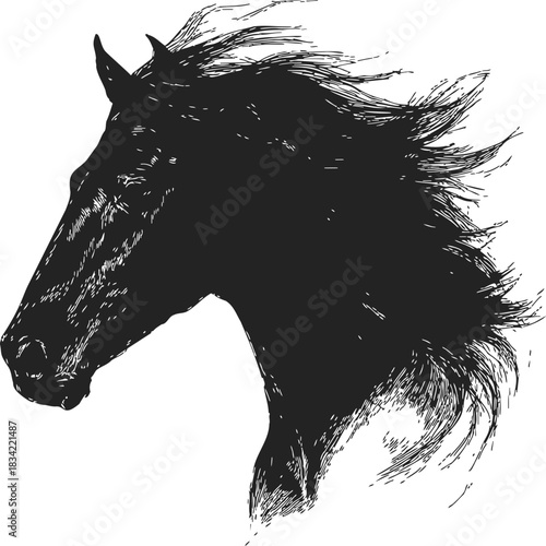 Horse head silhouette sketch, hand drawn style with flowing mane. Vector illustration