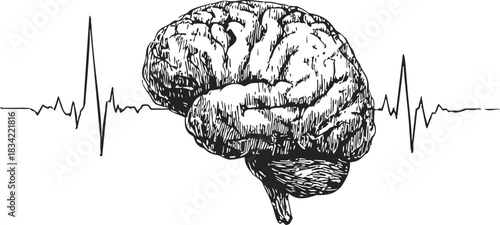 Brain sketch with heartbeat line, hand drawn vector illustration . Vector illustration