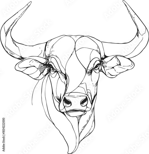 Bull head sketch hand drawn line art with large horns and detailed face. Vector illustration